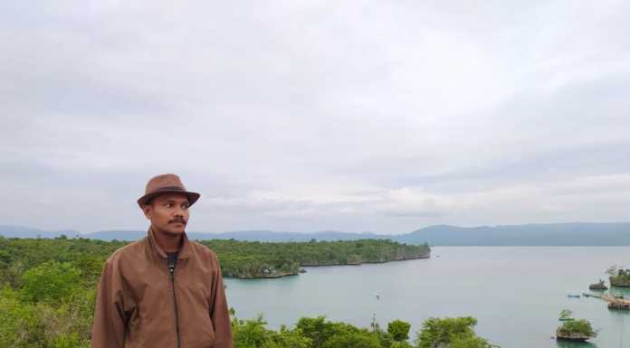 Covid-19 Pandemi, Keriuhan dan Polemik Kebijakan