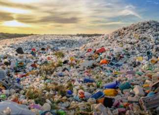 Mengolah Sampah Rumah Tangga di Masa Pandemi