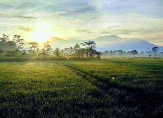 Sempatkan, Jangan Menunggu Kesempatan