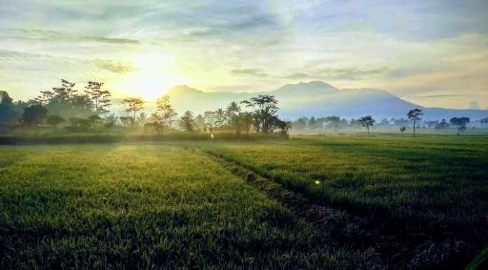 Sempatkan, Jangan Menunggu Kesempatan Sempatkan, Jangan Menunggu Kesempatan