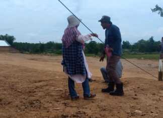 DLH Bombana dan FMBB