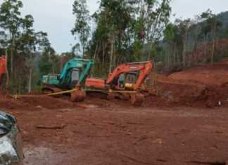 PT. Trisula Bumi Anoa