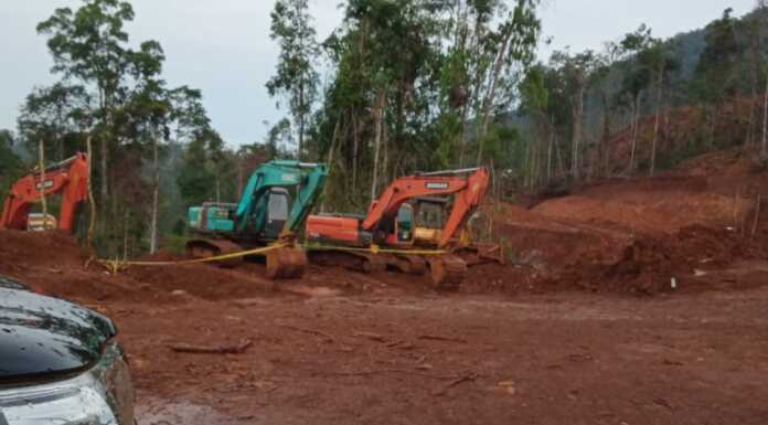 PT. Putra Inti Sultra Perkasa Diduga Menambang Tanpa IPPKH
