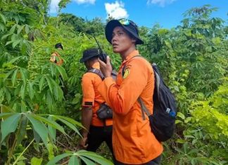 Kakek 80 Tahun Hilang di Hutan Buton Selatan, Tim SAR Perluas Area Pencarian kakek hilang Buton Selatan