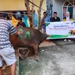 Asmo Sulsel Kembali Salurkan Hewan Kurban di Momentum Hari Raya Idul Adha