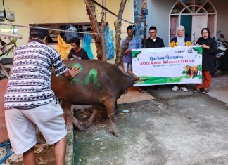 Asmo Sulsel Kembali Salurkan Hewan Kurban di Momentum Hari Raya Idul Adha Asmo Sulsel