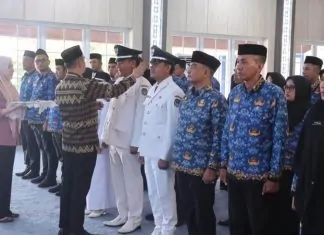 Bupati Amri