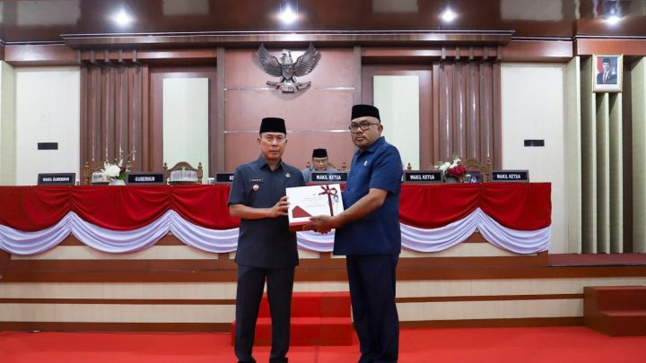 Gubernur Sultra